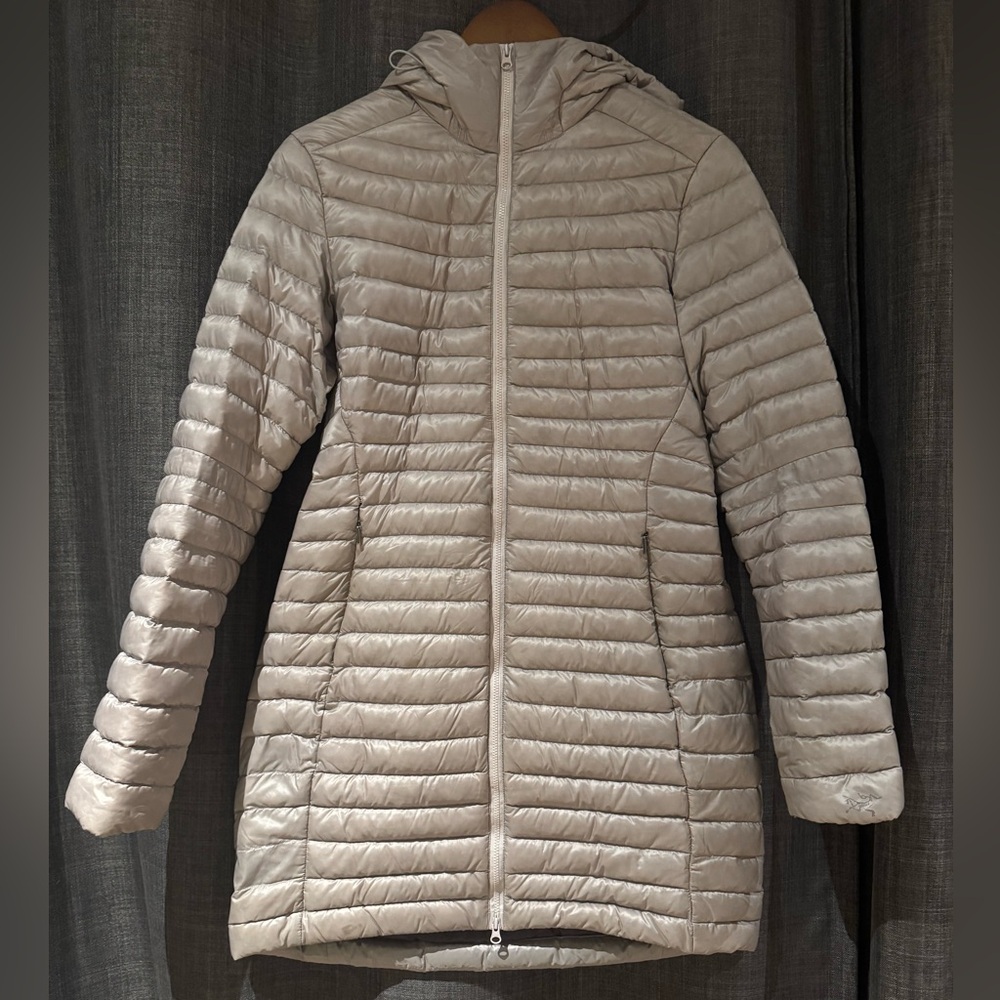Arc’teryx winter jacket